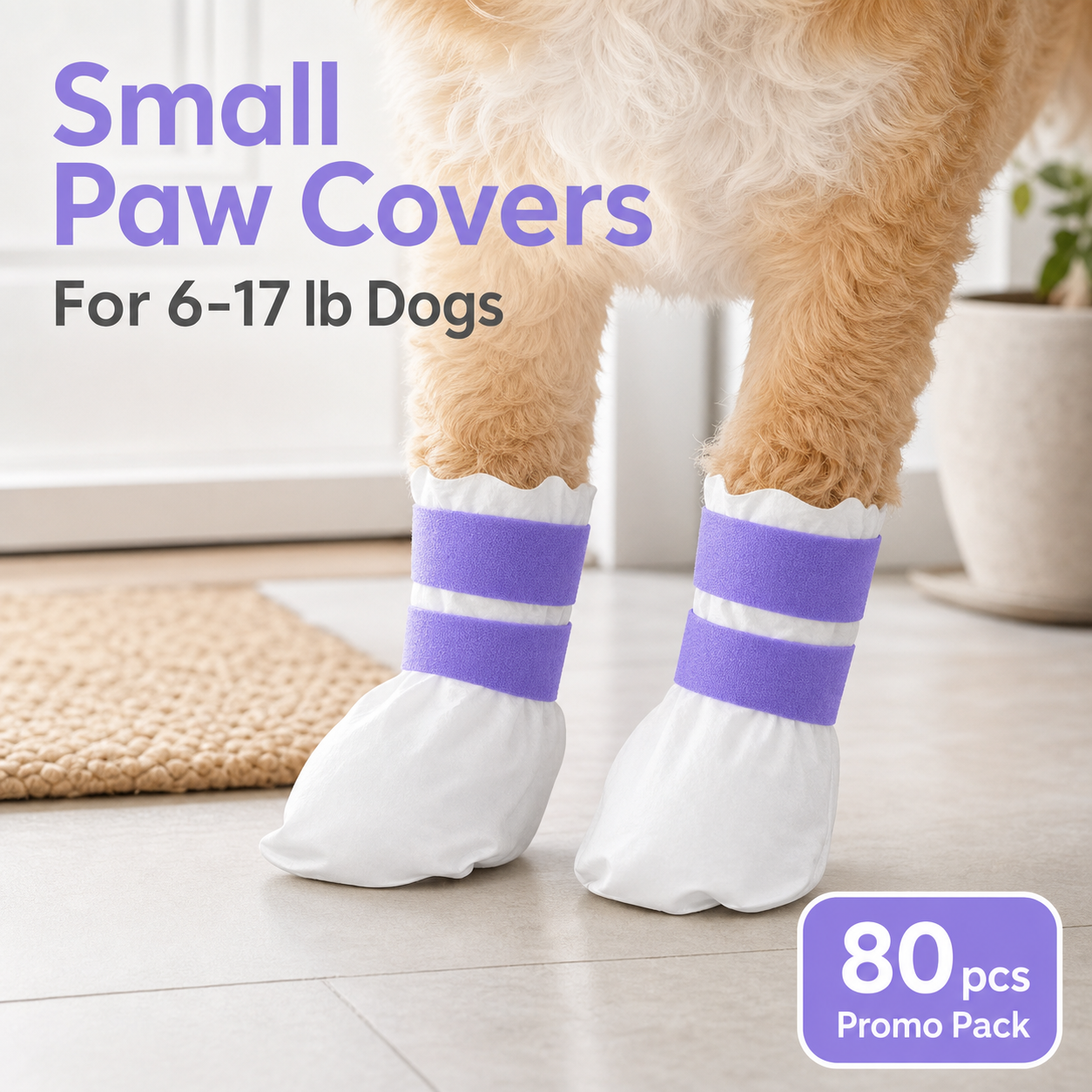 Premium pet toy kit placeholder image
